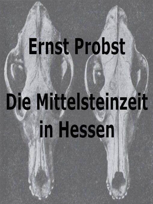 Title details for Die Mittelsteinzeit in Hessen by Ernst Probst - Available